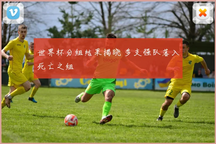 世界杯分组结果揭晓 多支强队落入死亡之组