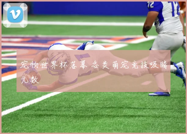 宠物世界杯落幕 各类萌宠竞技吸睛无数