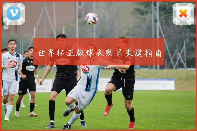 世界杯正版球衣购买渠道指南