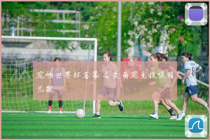 宠物世界杯落幕 各类萌宠竞技吸睛无数