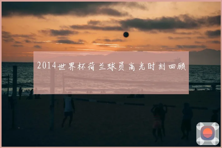 2014世界杯荷兰球员高光时刻回顾