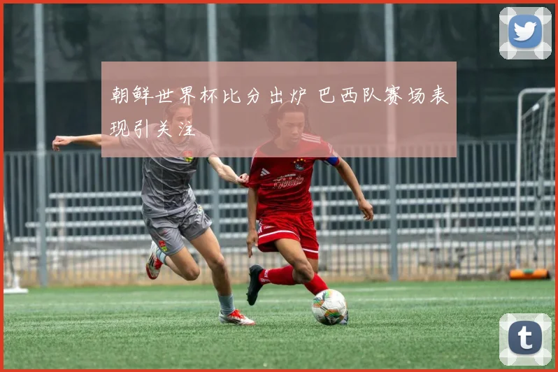 朝鲜世界杯比分出炉 巴西队赛场表现引关注
