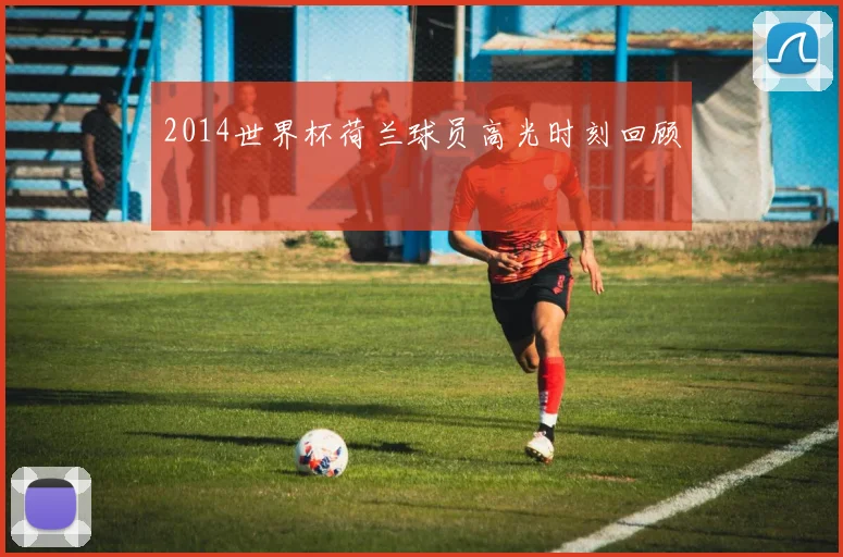 2014世界杯荷兰球员高光时刻回顾