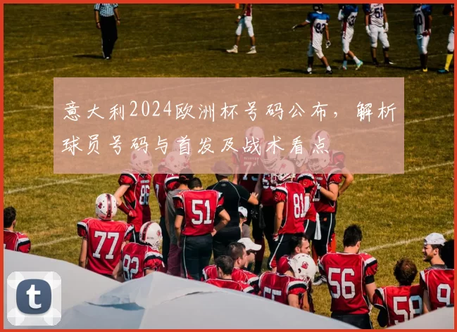 意大利2024欧洲杯号码公布，解析球员号码与首发及战术看点