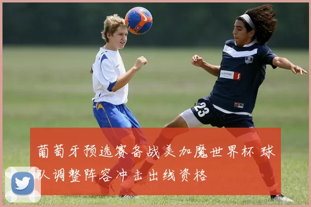葡萄牙预选赛备战美加魔世界杯 球队调整阵容冲击出线资格