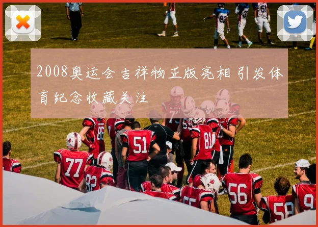 2008奥运会吉祥物正版亮相 引发体育纪念收藏关注